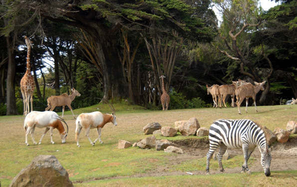 zoo-suisse-nourriture 