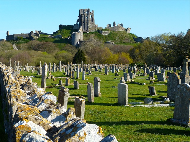 chien-cimetière-allemagne