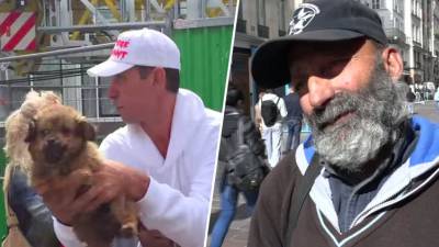 chien-sdf-paris