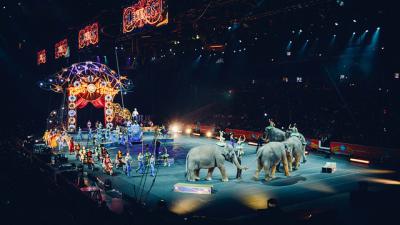 cirque-animaux