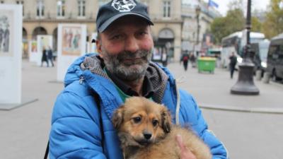 sdf-chien-paris
