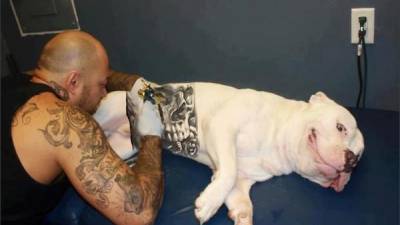 tatouage-chien